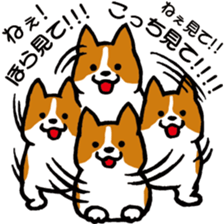 Heavy dog sticker #3161017