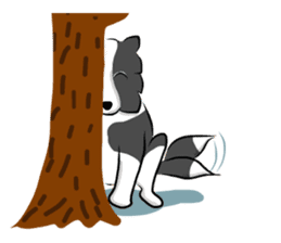 The Border Collie "Luppy" sticker #3164789