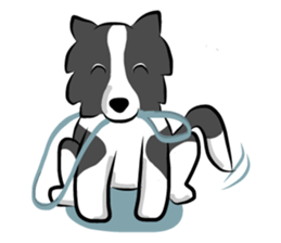 The Border Collie "Luppy" sticker #3164792