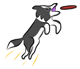 The Border Collie "Luppy" sticker #3164795
