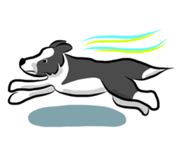 The Border Collie "Luppy" sticker #3164796