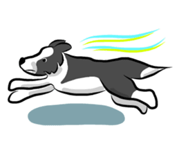 The Border Collie "Luppy" sticker #3164796