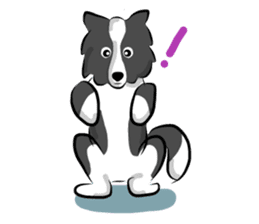 The Border Collie "Luppy" sticker #3164797