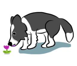 The Border Collie "Luppy" sticker #3164798
