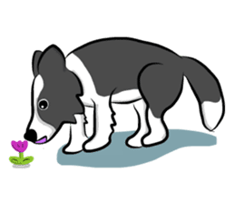 The Border Collie "Luppy" sticker #3164798