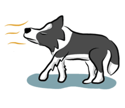 The Border Collie "Luppy" sticker #3164799