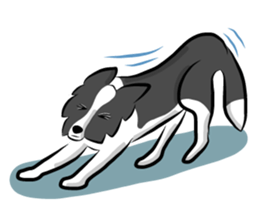 The Border Collie "Luppy" sticker #3164801