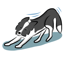 The Border Collie "Luppy" sticker #3164801
