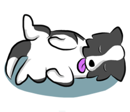 The Border Collie "Luppy" sticker #3164806