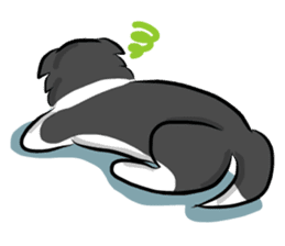 The Border Collie "Luppy" sticker #3164811