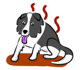 The Border Collie "Luppy" sticker #3164812