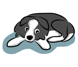 The Border Collie "Luppy" sticker #3164814