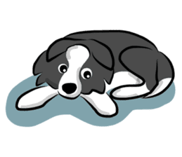 The Border Collie "Luppy" sticker #3164814