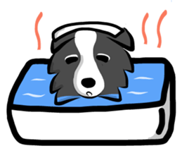 The Border Collie "Luppy" sticker #3164820