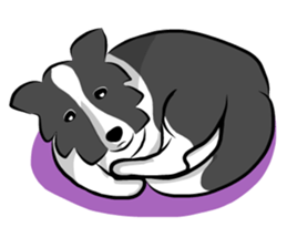 The Border Collie "Luppy" sticker #3164821