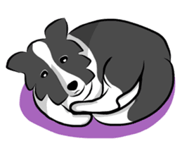 The Border Collie "Luppy" sticker #3164821