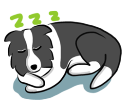 The Border Collie "Luppy" sticker #3164822