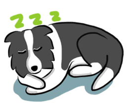 The Border Collie "Luppy" sticker #3164822