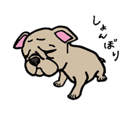 Bulltalk sticker #3165673