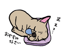 Bulltalk sticker #3165675