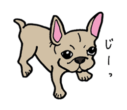 Bulltalk sticker #3165688