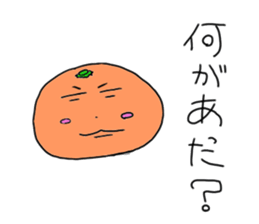 At the top of the steel cans, oranges sticker #3166155