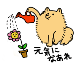 FuwaFuwaPomeranians sticker #3167357