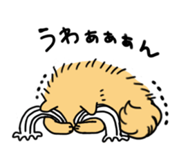 FuwaFuwaPomeranians sticker #3167370