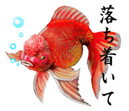 convenience goods Sticker3 sticker #3168624