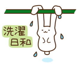 Healthy rabbit & Lonely cat sticker #3168651