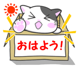 Daily life of the abandoned cat Nyari sticker #3168760