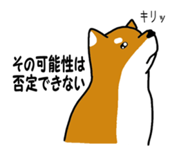 Science of Shiba sticker #3170547