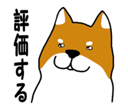 Science of Shiba sticker #3170548