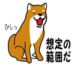 Science of Shiba sticker #3170549