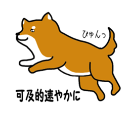Science of Shiba sticker #3170552