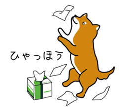 Science of Shiba sticker #3170557