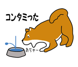 Science of Shiba sticker #3170567