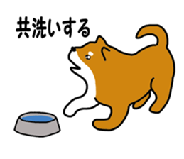 Science of Shiba sticker #3170568