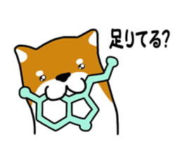 Science of Shiba sticker #3170569