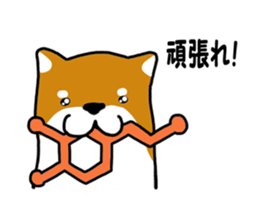 Science of Shiba sticker #3170570
