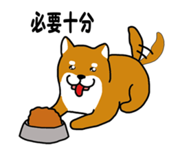 Science of Shiba sticker #3170576