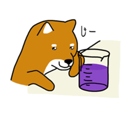 Science of Shiba sticker #3170582