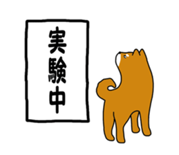 Science of Shiba sticker #3170586