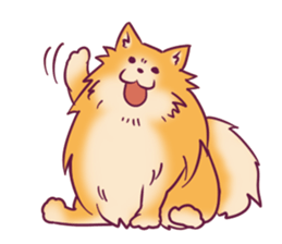 Funny Pomeranians! sticker #3172611