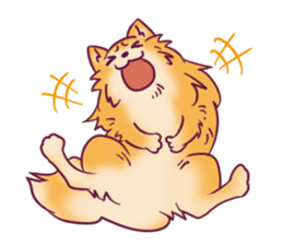 Funny Pomeranians! sticker #3172616