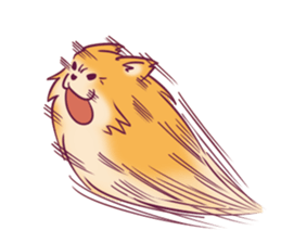 Funny Pomeranians! sticker #3172617