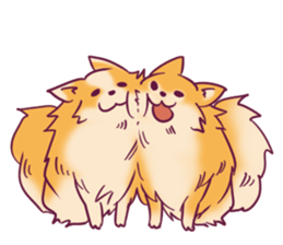 Funny Pomeranians! sticker #3172618