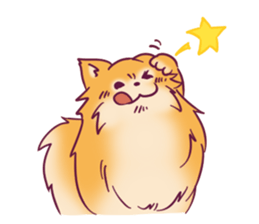 Funny Pomeranians! sticker #3172620