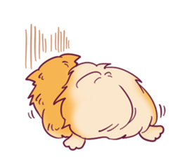 Funny Pomeranians! sticker #3172624