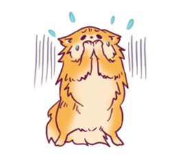 Funny Pomeranians! sticker #3172626